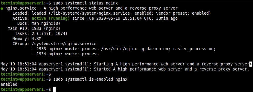 Check Nginx Service Status